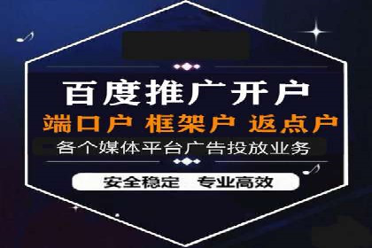 百度竞价公司案例分析：优化策略全解析